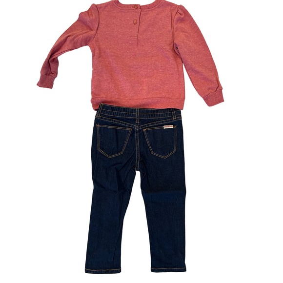Hudson Adorable 2-Piece Set - Jeans & Long Sleeve Shirt, Size 2T K32 * - Picture 5 of 8